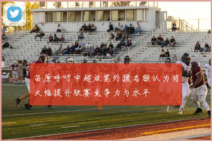 苗原呼吁中超放宽外援名额认为将大幅提升联赛竞争力与水平