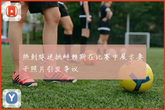 热刺球迷挑衅赖斯在比赛中展示妻子照片引发争议